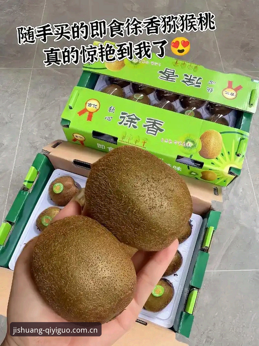奇异果体育手机版vs网页版：哪个更适合港澳台用户看直播？